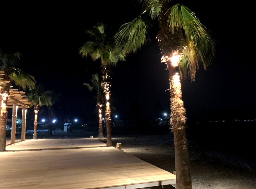 Beluga Beach Club — Φωτισμένοι φοίνικες στον εξωτερικό χώρο τη νύχτα Φωτισμένοι φοίνικες στον εξωτερικό χώρο τη νύχτα — Beluga Beach Club / Illuminated palm trees in the outdoor area at night