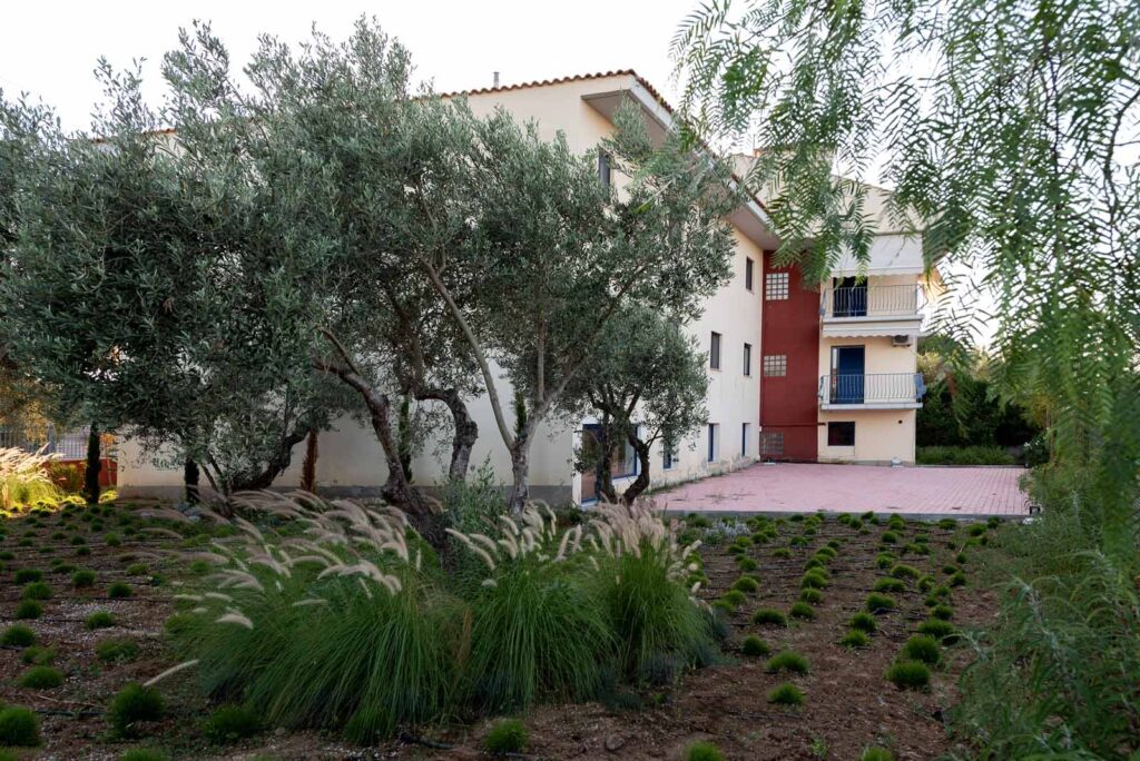 Smart Hotel στην Εύβοια — Ελιές στον εξωτερικό χώρο του ξενοδοχείου Ελιές στον εξωτερικό χώρο του ξενοδοχείου — Smart Hotel στην Εύβοια / Olive trees in the hotel grounds